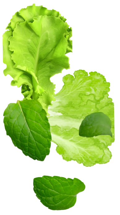 Untitled design 2025 04 23T145652.466